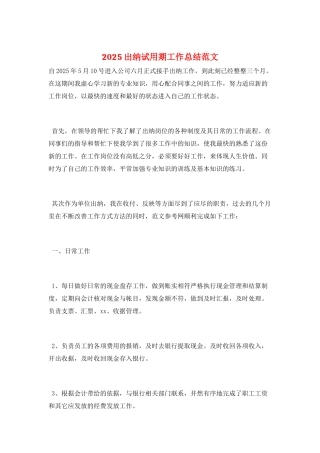 2021出纳试用期工作总结范文