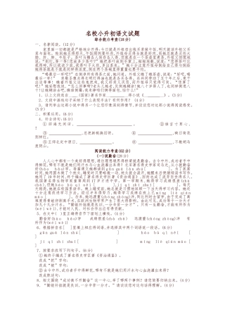 2025-2025学年名校小升初语文试题-精选
