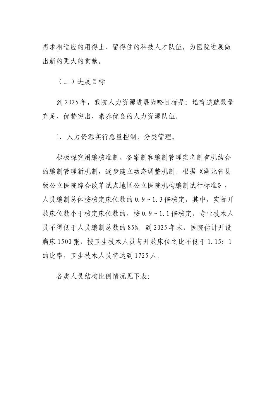 2025—人力资源发展规划_第3页