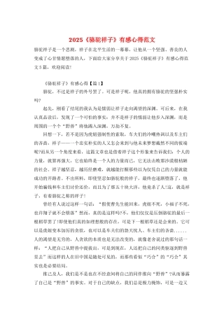 2025《骆驼祥子》有感心得范文