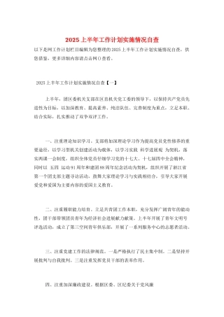 2025上半年工作计划实施情况自查