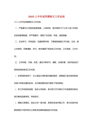 2025上半年试用期转正工作总结