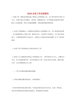 2025业务工作总结报告