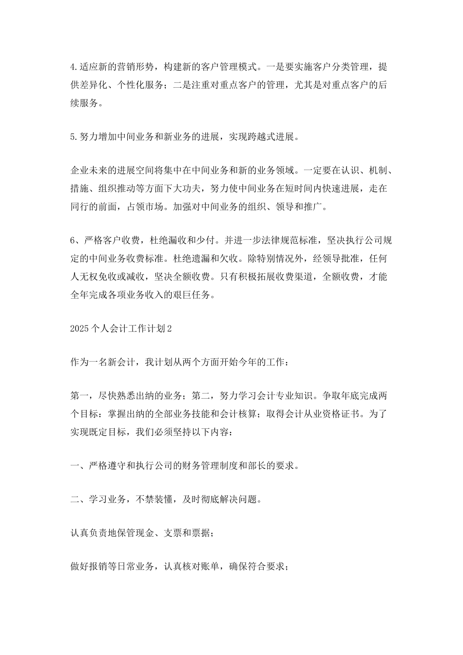 2025个人会计工作计划_第2页