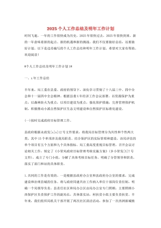 2025个人工作总结及明年工作计划