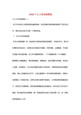 2025个人工作总结简短