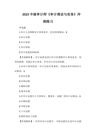 2025中级审计师《审计理论与实务》冲刺练习
