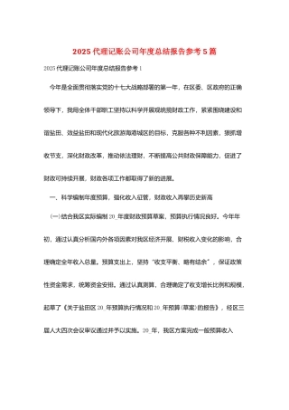 2025代理记账公司年度总结报告参考5篇