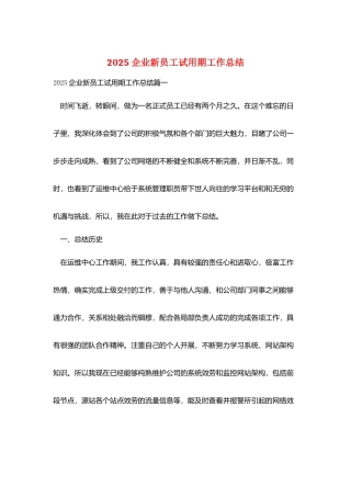 2025企业新员工试用期工作总结