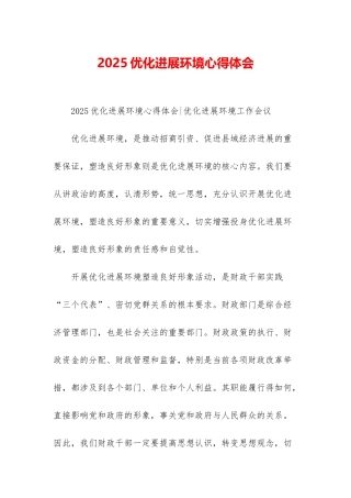 2025优化发展环境心得体会