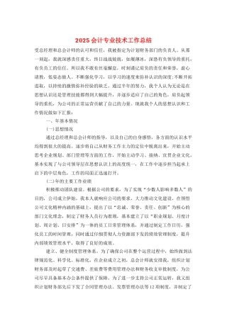 2025会计专业技术工作总结