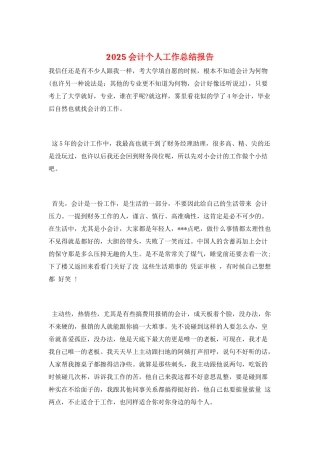 2025会计个人工作总结报告