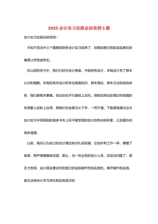 2025会计实习实践总结范例5篇