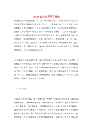 2025会计实训学习总结