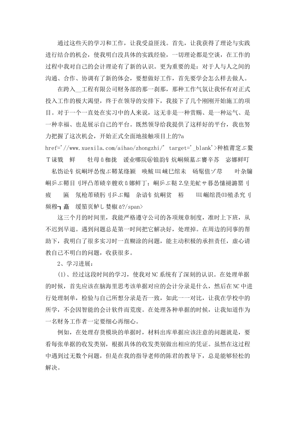 2025会计工作总结个人心得_第3页