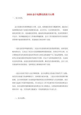 2025会计电算化的实习心得