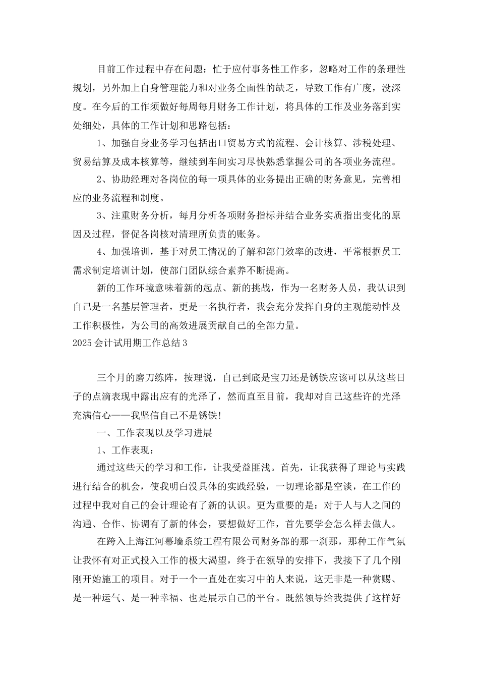 2025会计试用期工作总结_第3页