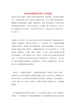 2025供应室实习护士工作总结
