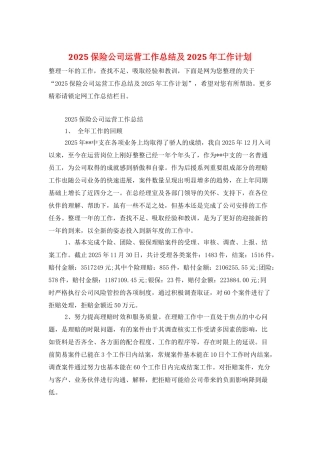 2025保险公司运营工作总结及2025年工作计划