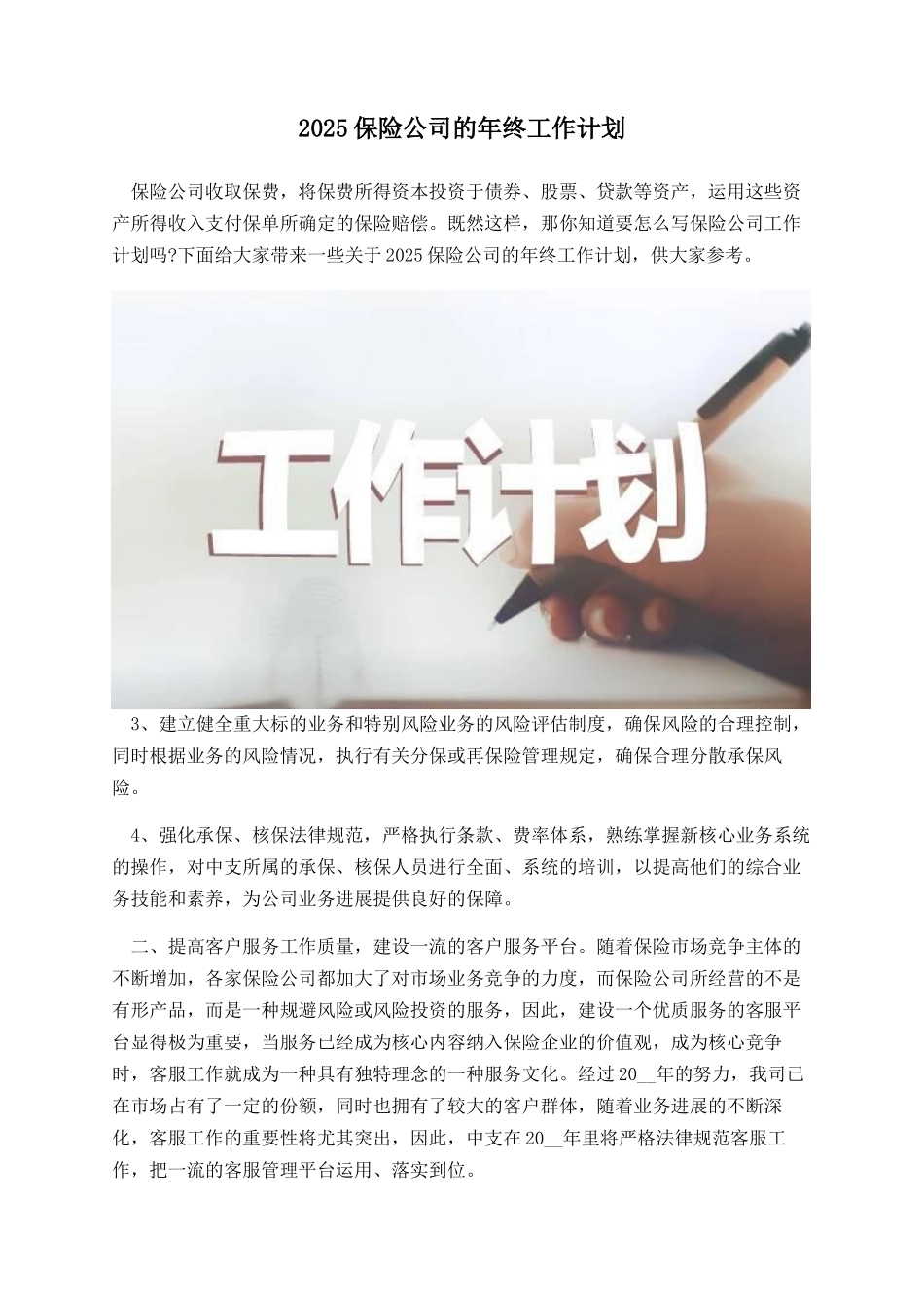 2025保险公司的年终工作计划_第1页