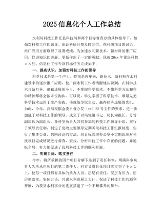 2025信息化个人工作总结