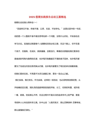 2025假期实践报告总结五篇精选