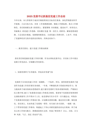 2025党委书记抓基层党建工作总结