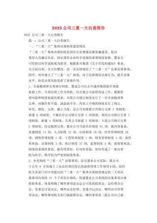 2025公司三重一大自查报告