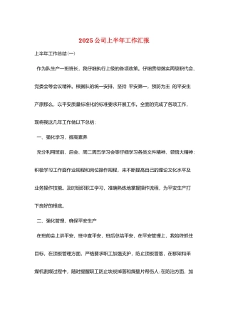 2025公司上半年工作汇报