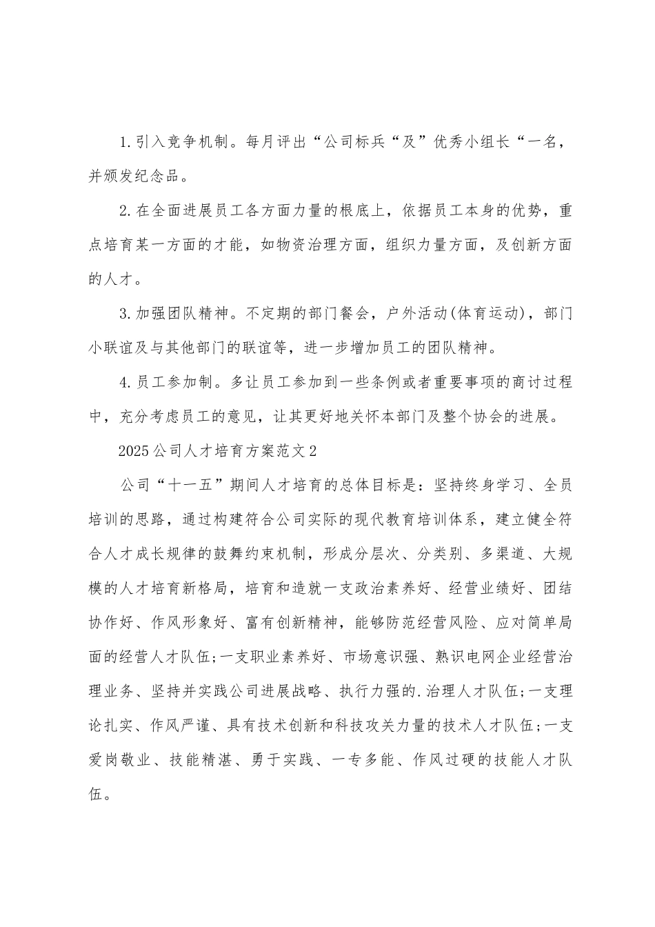 2025公司人才培养方案_第2页