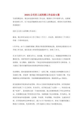 2025公司员工试用期工作总结5篇
