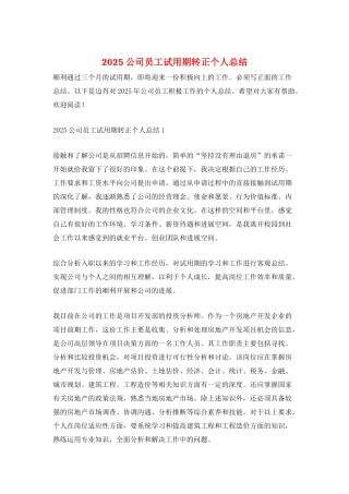 2025公司员工试用期转正个人总结