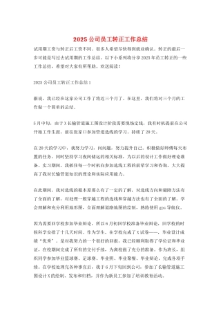 2025公司员工转正工作总结