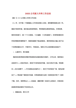 2025公司新人年终工作总结