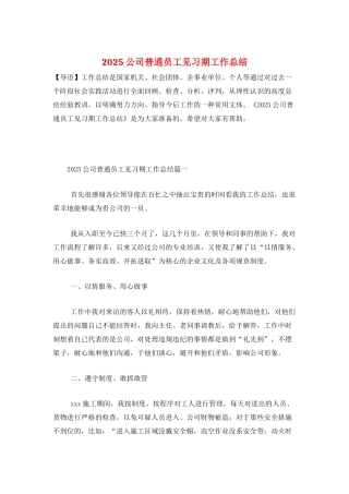 2025公司普通员工见习期工作总结