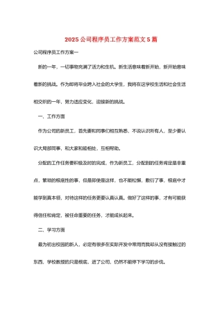 2025公司程序员工作计划范文5篇