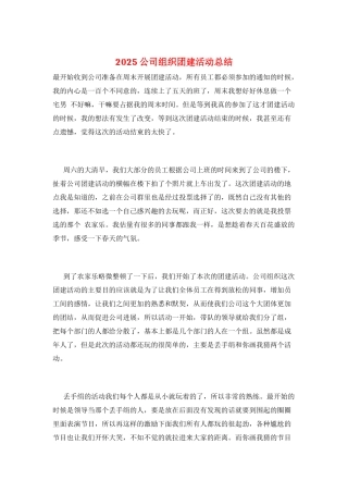 2025公司组织团建活动总结