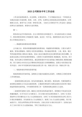 2025公司财务半年工作总结-
