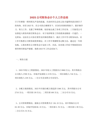 2025公司财务会计个人工作总结