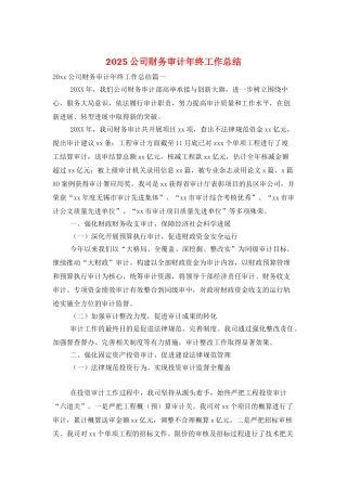 2025公司财务审计年终工作总结
