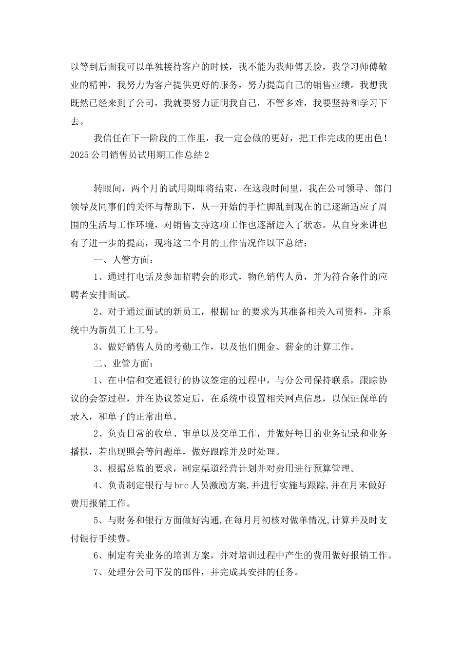 2025公司销售员试用期工作总结_第2页