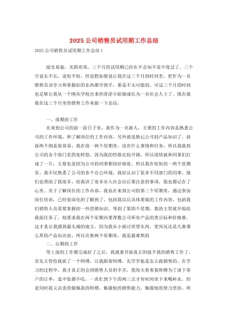 2025公司销售员试用期工作总结