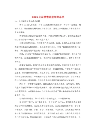 2025公司销售总监年终总结