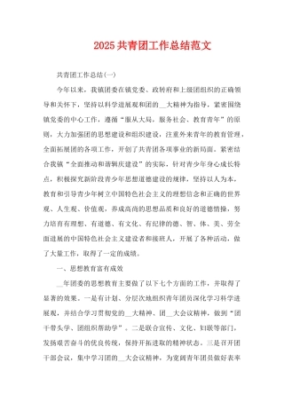 2025共青团工作总结范文（精编版）