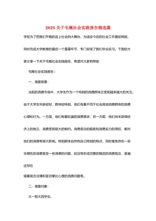 2025关于毛概社会实践报告精选篇