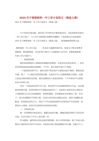 2025关于销售新的一年工作计划范文