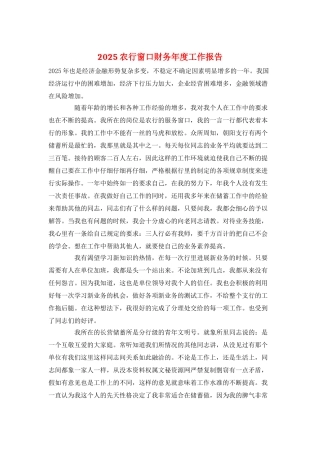 2025农行窗口财务年度工作报告