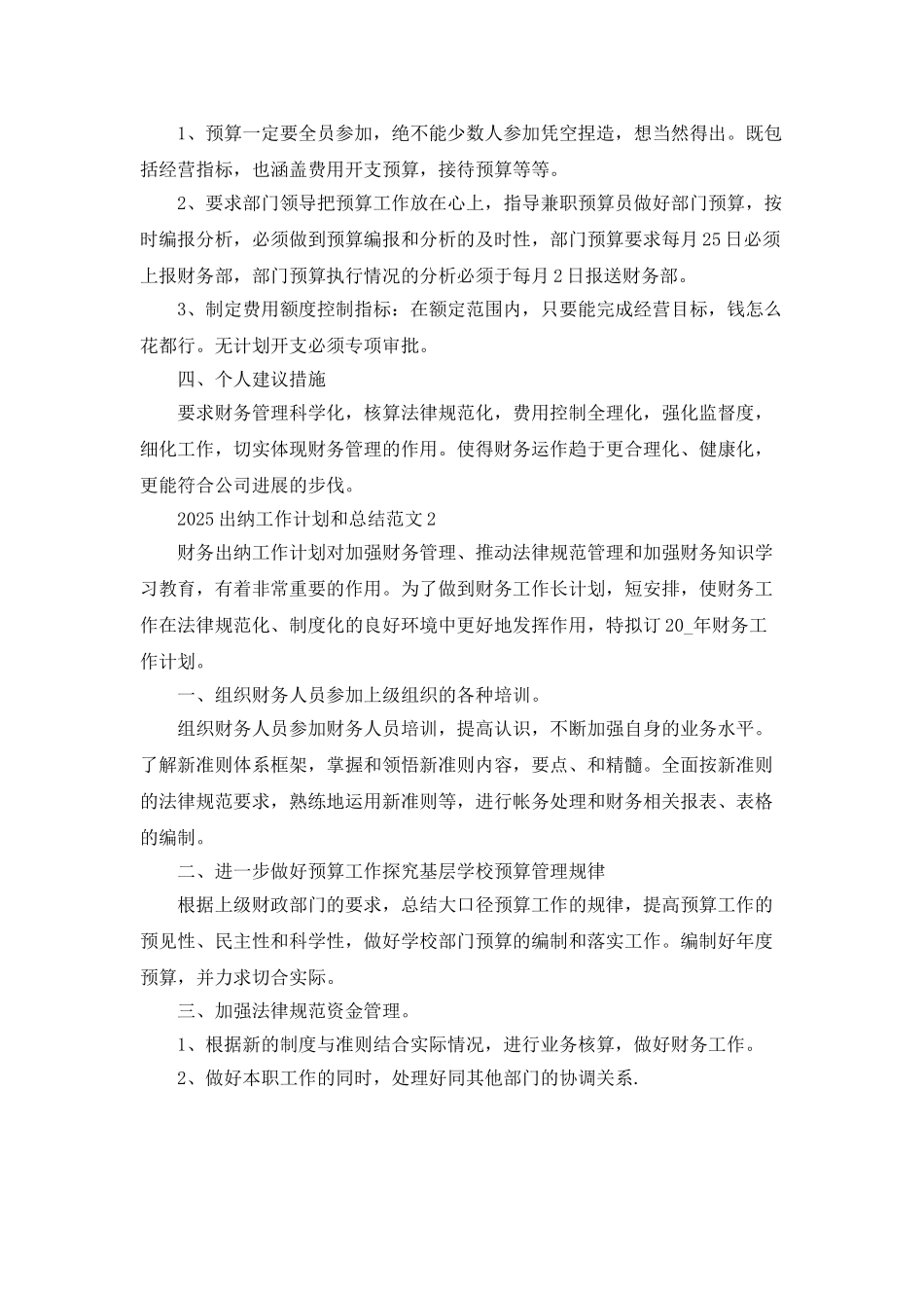 2025出纳工作计划和总结范文_第2页