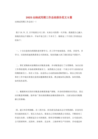 2025出纳试用期工作总结报告范文5篇