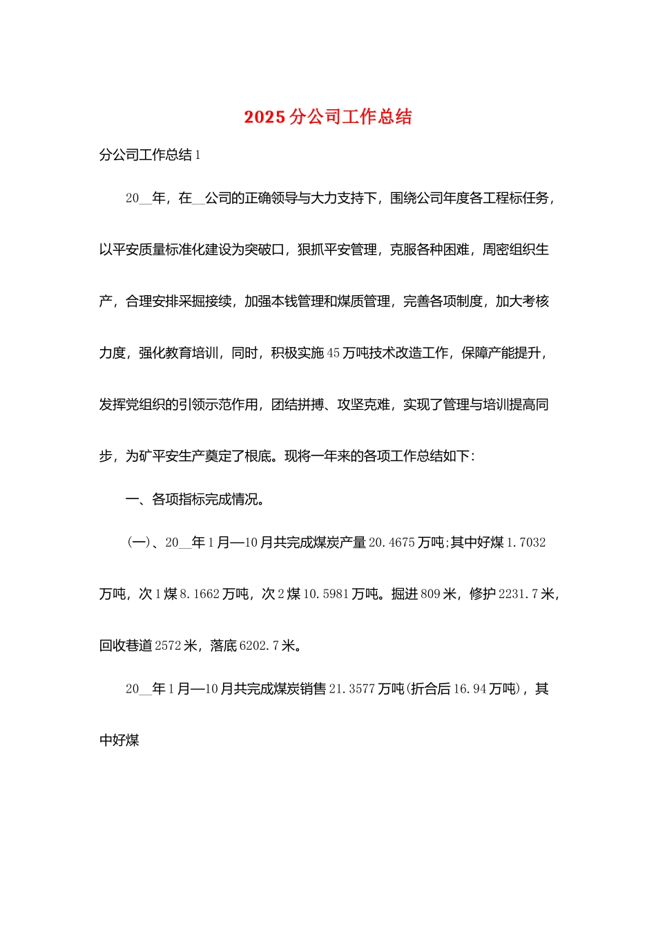 2025分公司工作总结_第1页